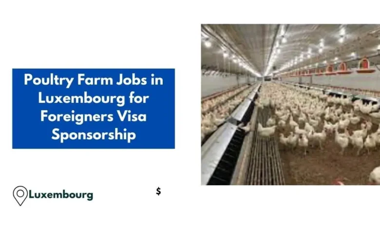 Poultry Farm Jobs in Luxembourg for Foreigners