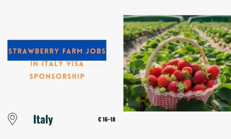 Strawberry Farm Jobs in Italy