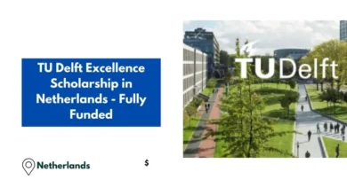 TU Delft Excellence Scholarship