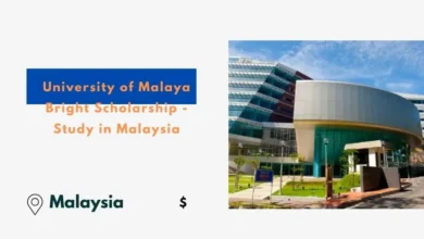 University of Malaya Bright Scholarship