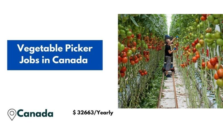 Vegetable Picker Jobs in Canada