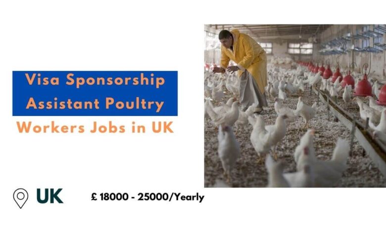 Visa Sponsorship Assistant Poultry Workers Jobs in UK