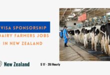 Visa Sponsorship Dairy Farmers Jobs in New Zealand