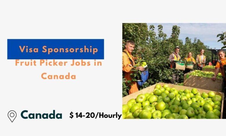 Visa Sponsorship Fruit Picker Jobs in Canada