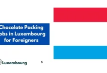 Chocolate Packing Jobs in Luxembourg