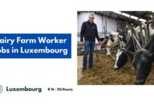 Dairy Farm Worker Jobs in Luxembourg