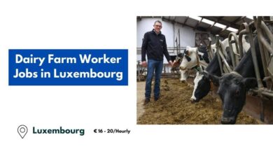 Dairy Farm Worker Jobs in Luxembourg