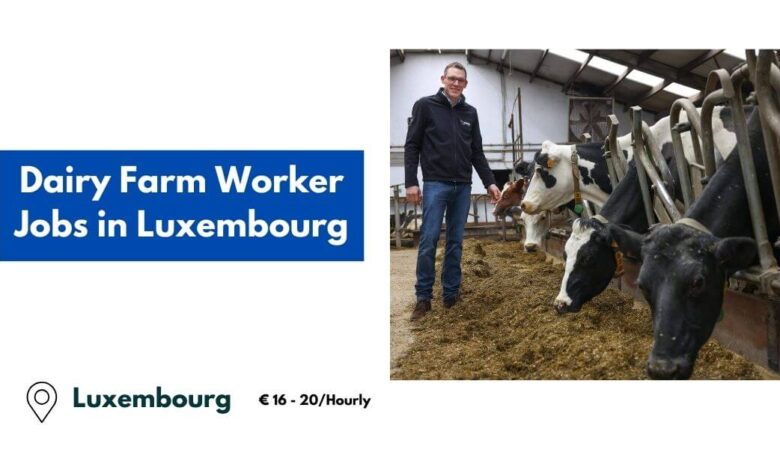 Dairy Farm Worker Jobs in Luxembourg