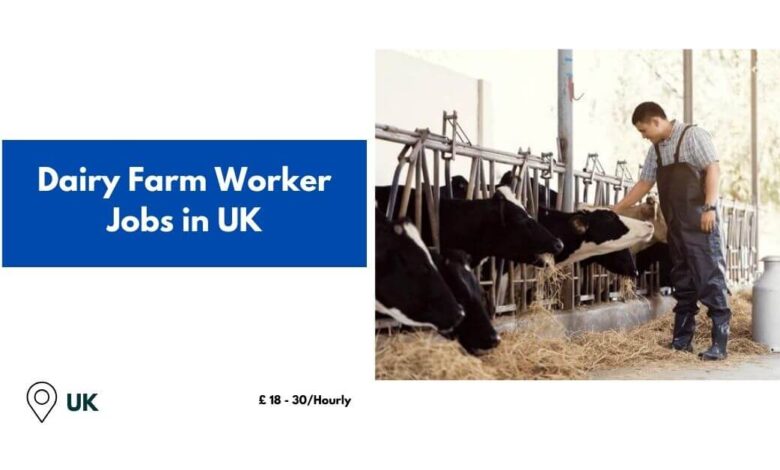 Dairy Farm Worker Jobs in UK