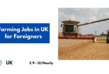 Farming Jobs in UK for Foreigners