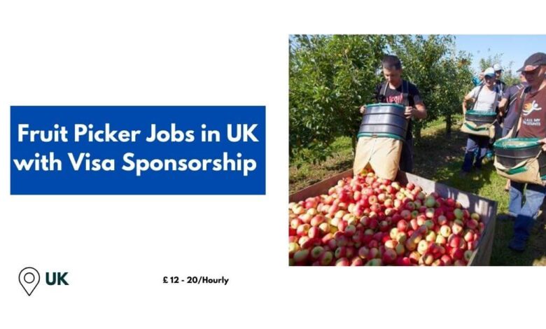 Fruit Picker Jobs in UK with Visa Sponsorship