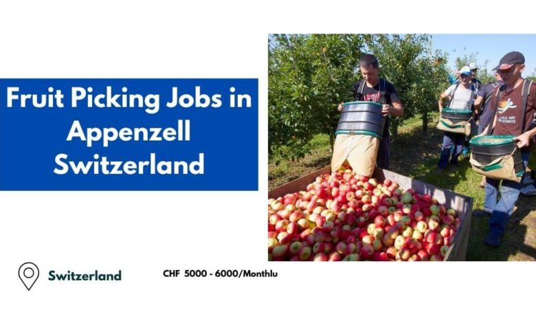 Fruit Picking Jobs in Appenzell Switzerland