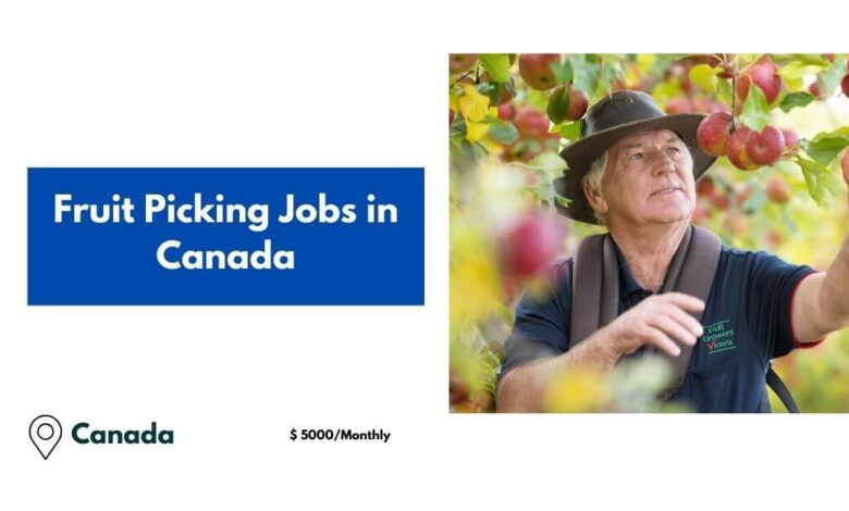 Fruit Picking Jobs in Canada