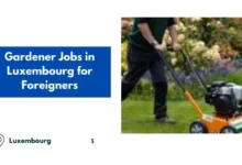 Gardener Jobs in Luxembourg