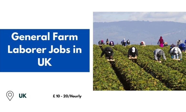 General Farm Laborer Jobs in UK