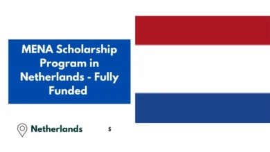 MENA Scholarship Program in Netherlands