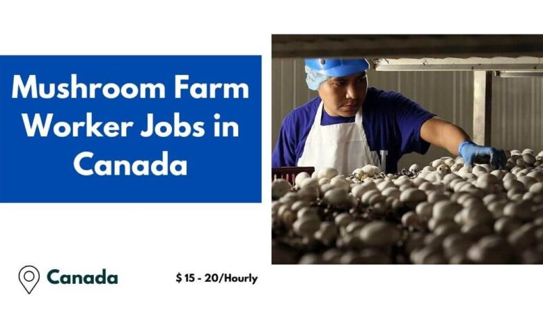 Mushroom Farm Worker Jobs in Canada