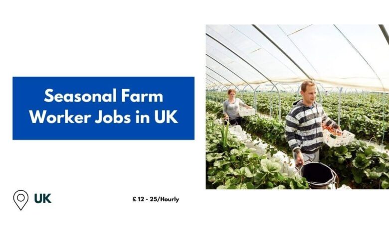 Seasonal Farm Worker Jobs in UK