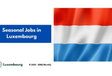 Seasonal Jobs in Luxembourg