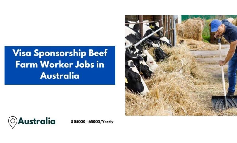 Visa Sponsorship Beef Farm Worker Jobs in Australia