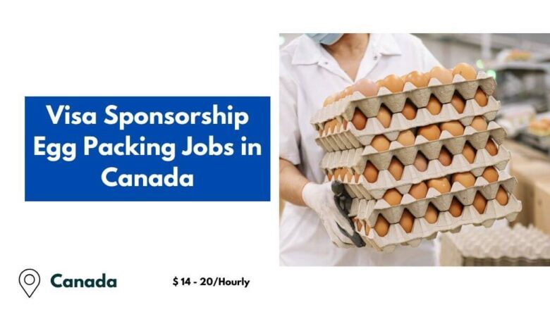 Visa Sponsorship Egg Packing Jobs in Canada