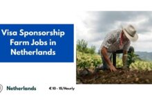 Farm Jobs in Netherlands