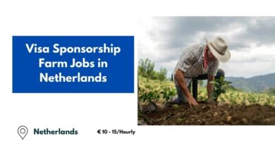 Farm Jobs in Netherlands