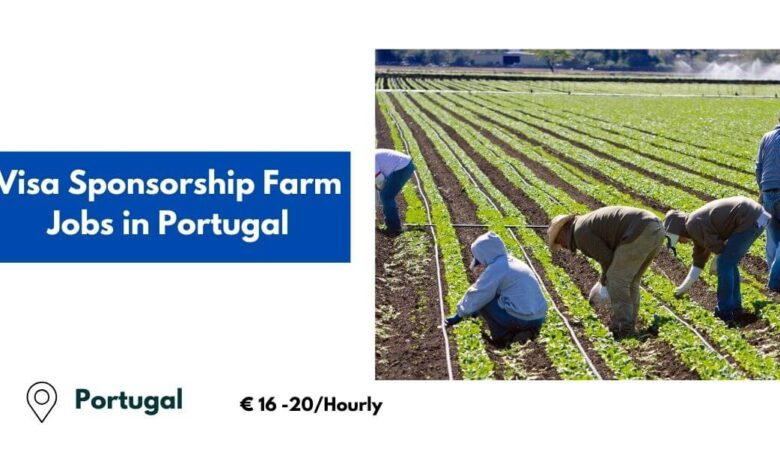 Visa Sponsorship Farm Jobs in Portugal