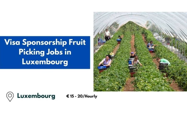 Visa Sponsorship Fruit Picking Jobs in Luxembourg