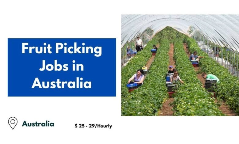 Fruit Picking Jobs in Australia