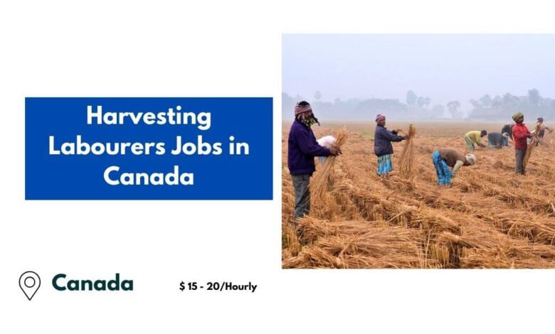 Harvesting Labourers Jobs in Canada