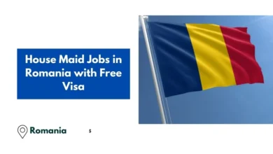 House Maid Jobs in Romania