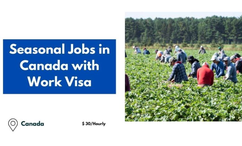 Seasonal Jobs in Canada with Work Visa