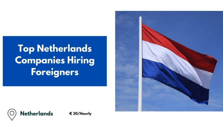 Top Netherlands Companies Hiring Foreigners