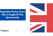 Vegetable Packer Farm Jobs in England