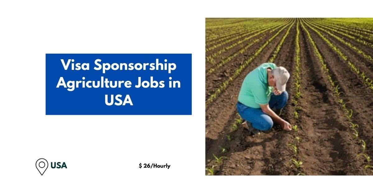 Visa Sponsorship Agriculture Jobs in USA 2024