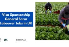 General Farm Labourer Jobs in UK