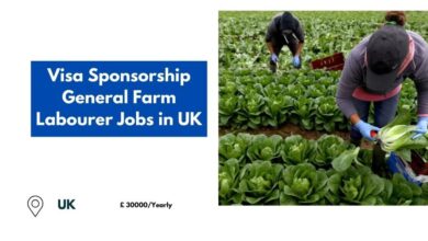 General Farm Labourer Jobs in UK