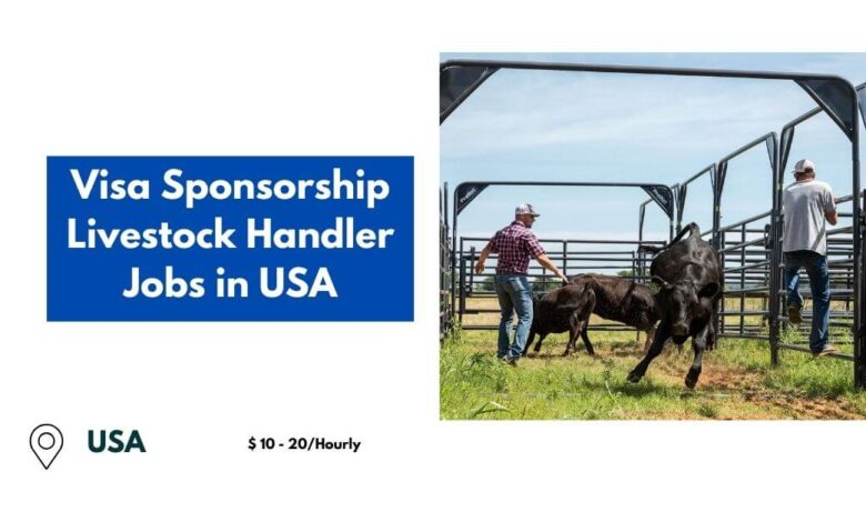 Visa Sponsorship Livestock Handler Jobs in USA