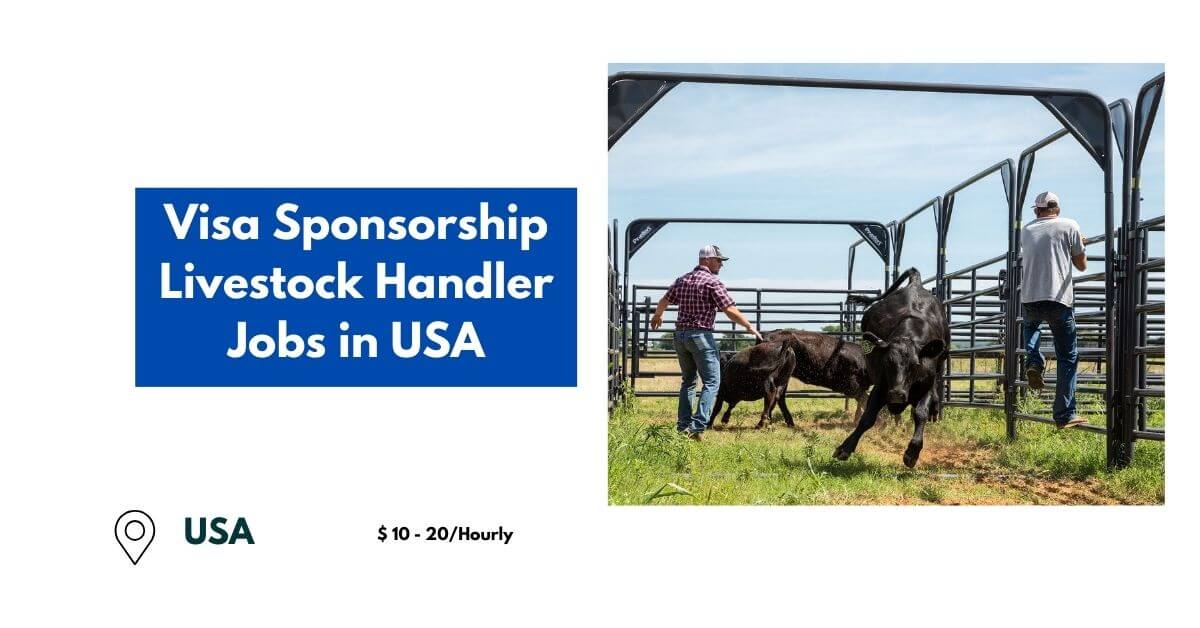 Visa Sponsorship Livestock Handler Jobs in USA 2024 (10 20 Hourly)