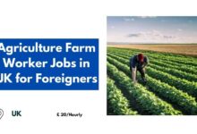 Agriculture Farm Worker Jobs in UK for Foreigners