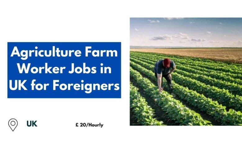 Agriculture Farm Worker Jobs in UK for Foreigners