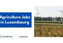 Agriculture Jobs in Luxembourg