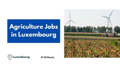 Agriculture Jobs in Luxembourg