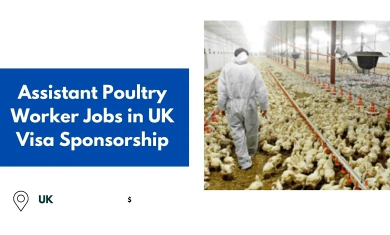 Assistant Poultry Worker Jobs in UK