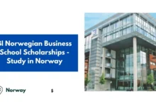 BI Norwegian Business School Scholarships