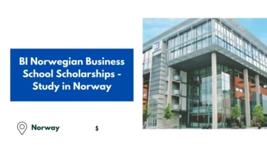 BI Norwegian Business School Scholarships