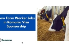 Cow Farm Worker Jobs in Romania