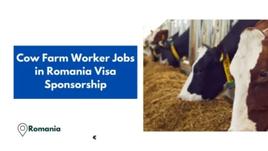 Cow Farm Worker Jobs in Romania