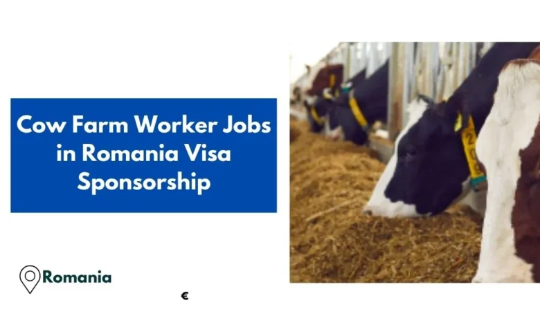 Cow Farm Worker Jobs in Romania